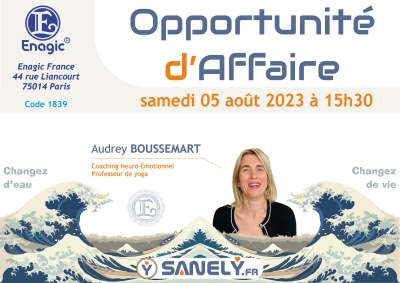 Opportunité d'affaire